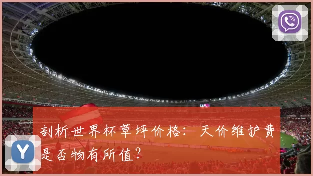 剖析世界杯草坪价格：天价维护费是否物有所值？
