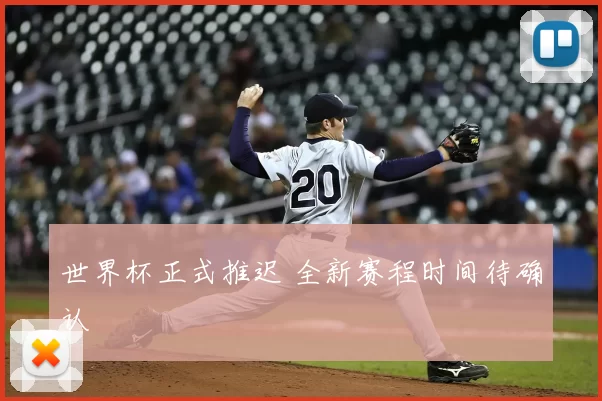 世界杯正式推迟 全新赛程时间待确认