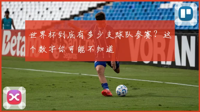 世界杯到底有多少支球队参赛？这个数字你可能不知道