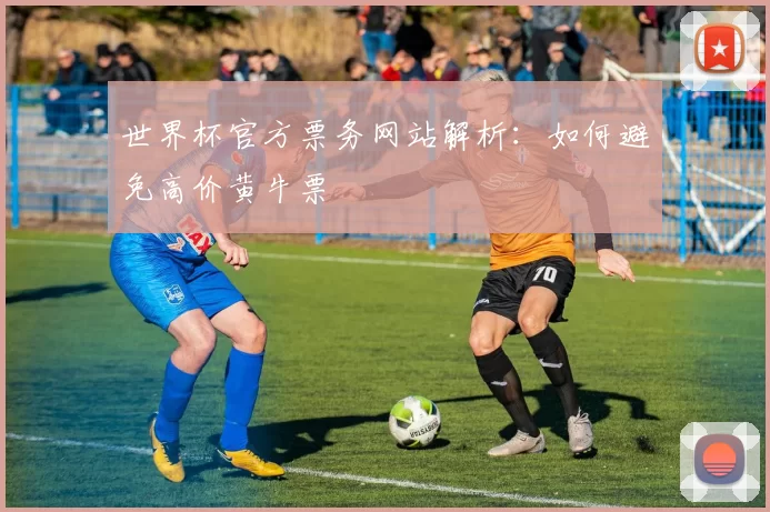 世界杯官方票务网站解析:如何避免高价黄牛票