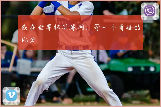 我在世界杯买球网，等一个奇迹的比分