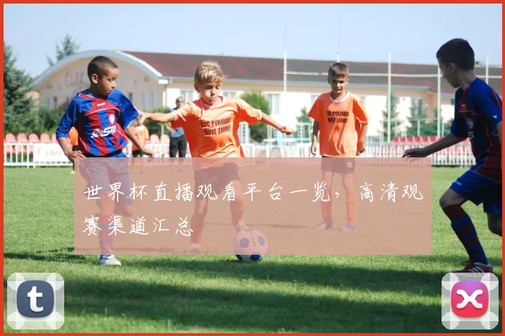 世界杯直播观看平台一览，高清观赛渠道汇总