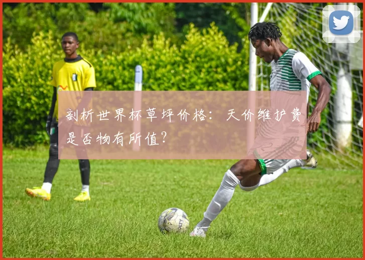 剖析世界杯草坪价格:天价维护费是否物有所值?