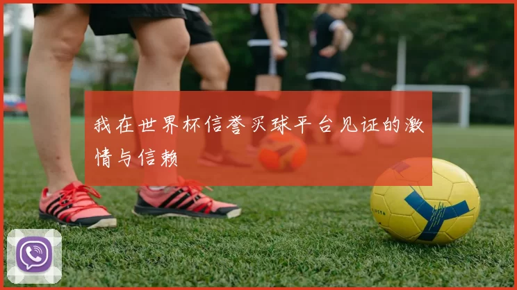 我在世界杯信誉买球平台见证的激情与信赖