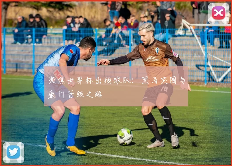 聚焦世界杯出线球队:黑马突围与豪门晋级之路