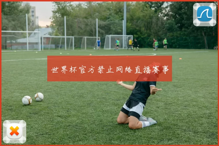 世界杯官方禁止网络直播赛事