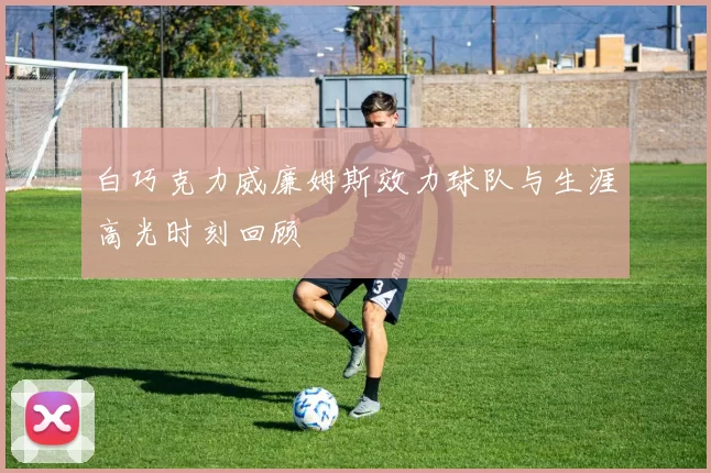 白巧克力威廉姆斯效力球队与生涯高光时刻回顾