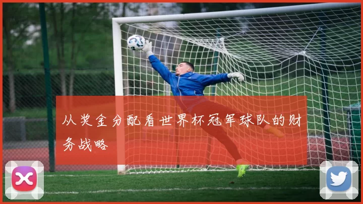 从奖金分配看世界杯冠军球队的财务战略
