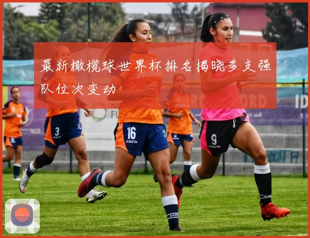 最新橄榄球世界杯排名揭晓多支强队位次变动